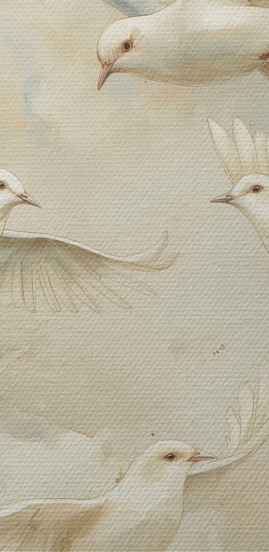 Groupe d'oiseaux blancs volant dans le ciel