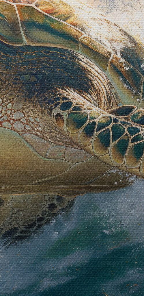 Sea turtle swimming in the ocean