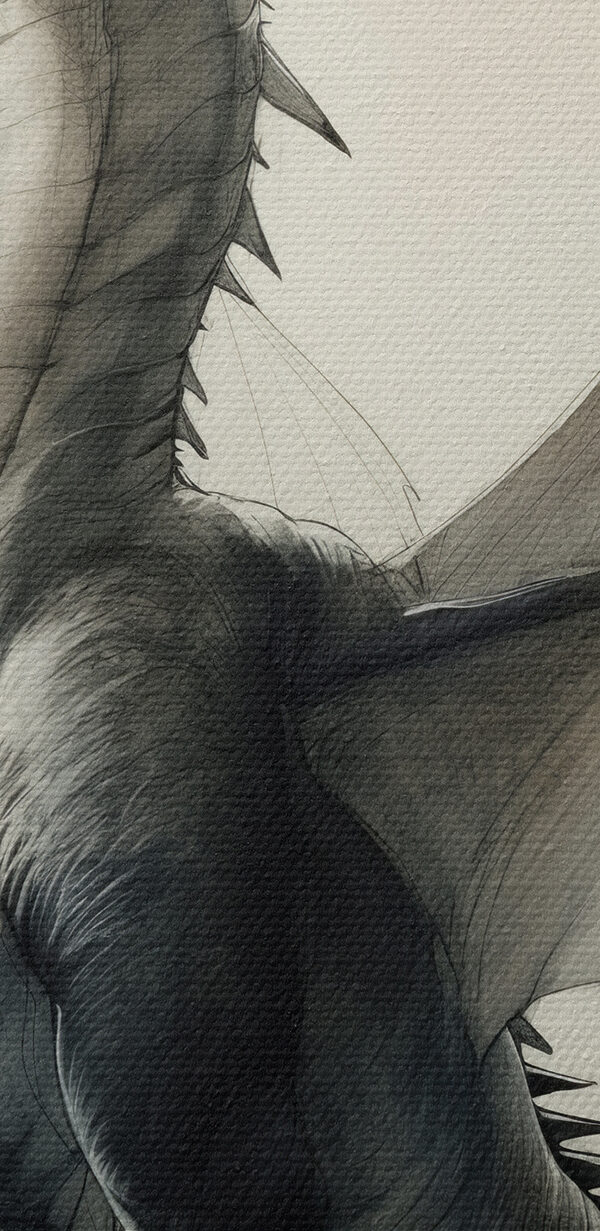 Dessin d'un dragon Dessin d'un dragon
