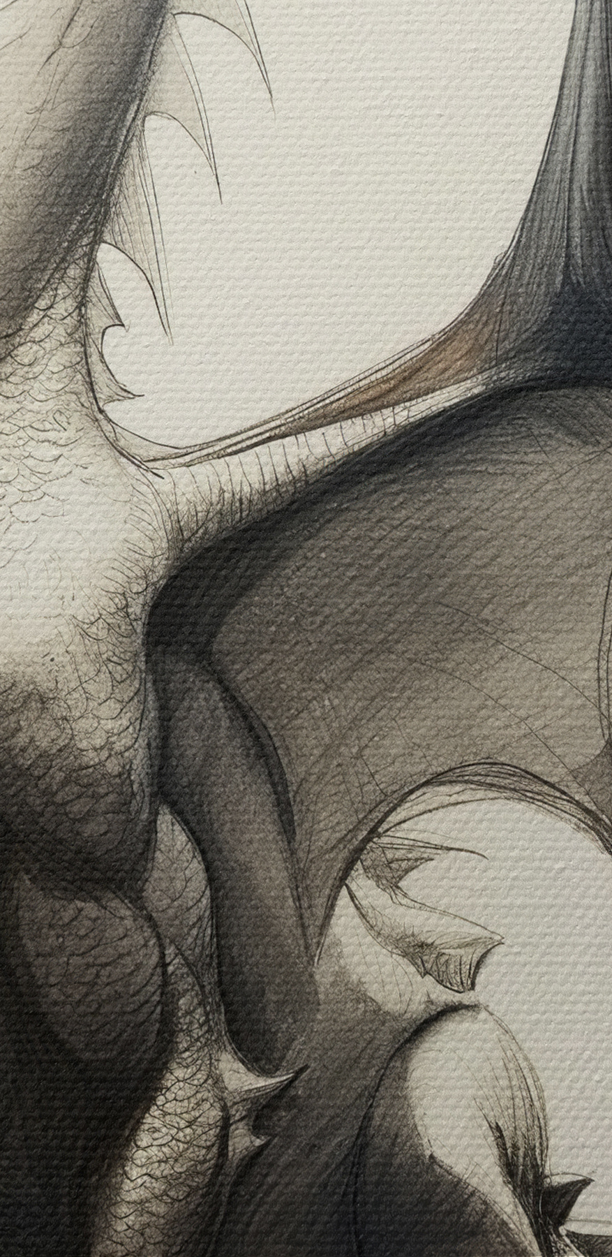 Dessin d'un dragon Dessin d'un dragon