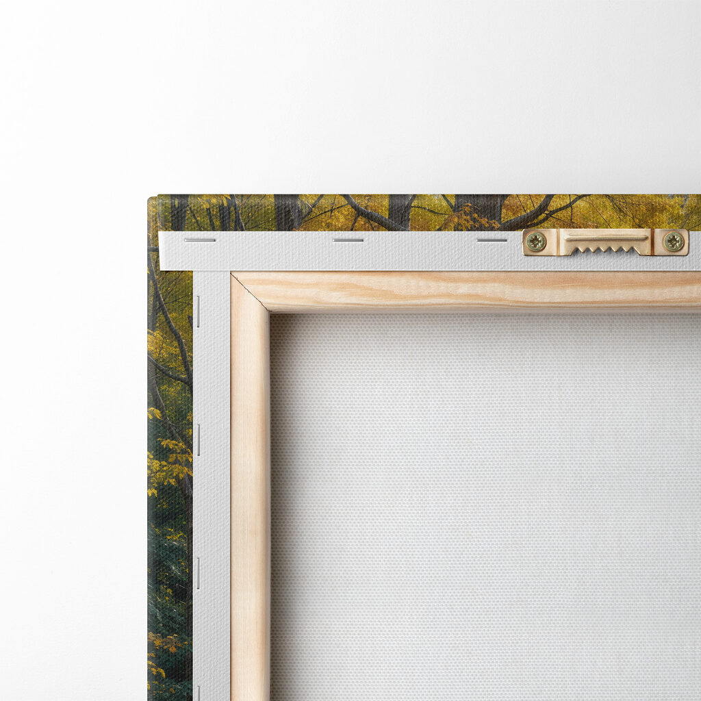 Road through a forest with yellow leaves