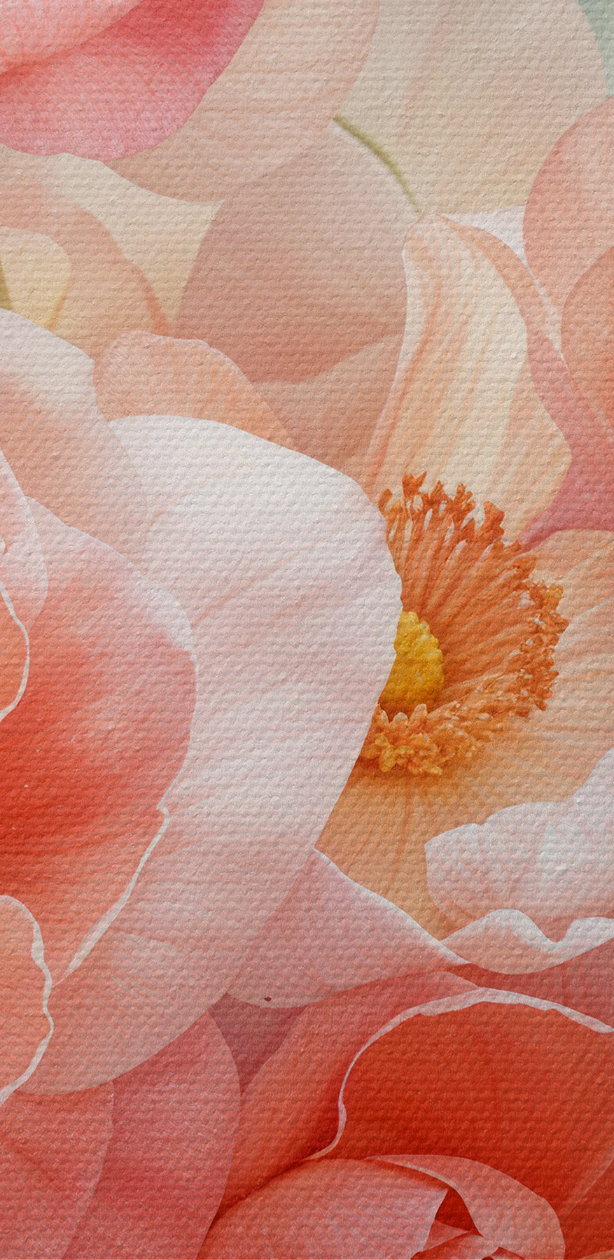 Groupe de fleurs roses