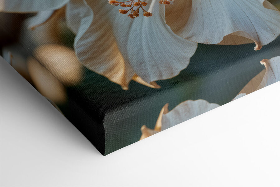 Gros plan sur une fleur Gros plan sur une fleur