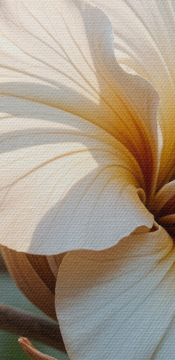 Gros plan sur une fleur Gros plan sur une fleur