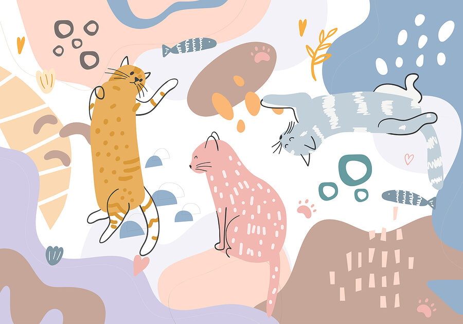 Groupe de chats sur fond coloré