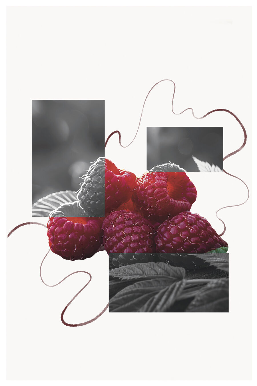 Groupe de framboises avec feuilles Groupe de framboises avec feuilles
