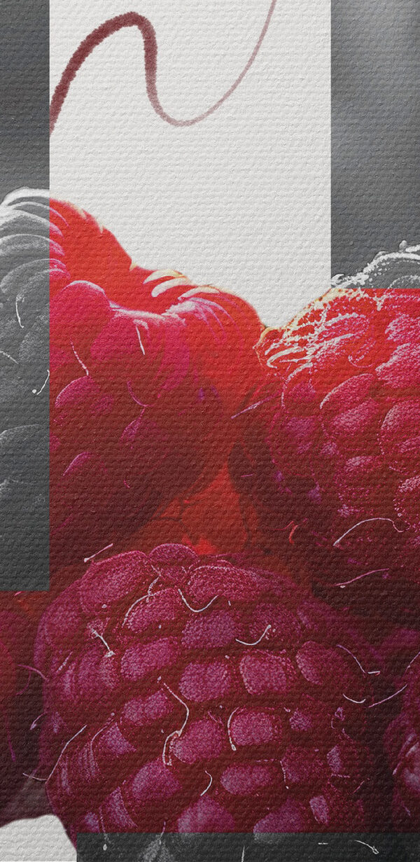 Groupe de framboises avec feuilles Groupe de framboises avec feuilles
