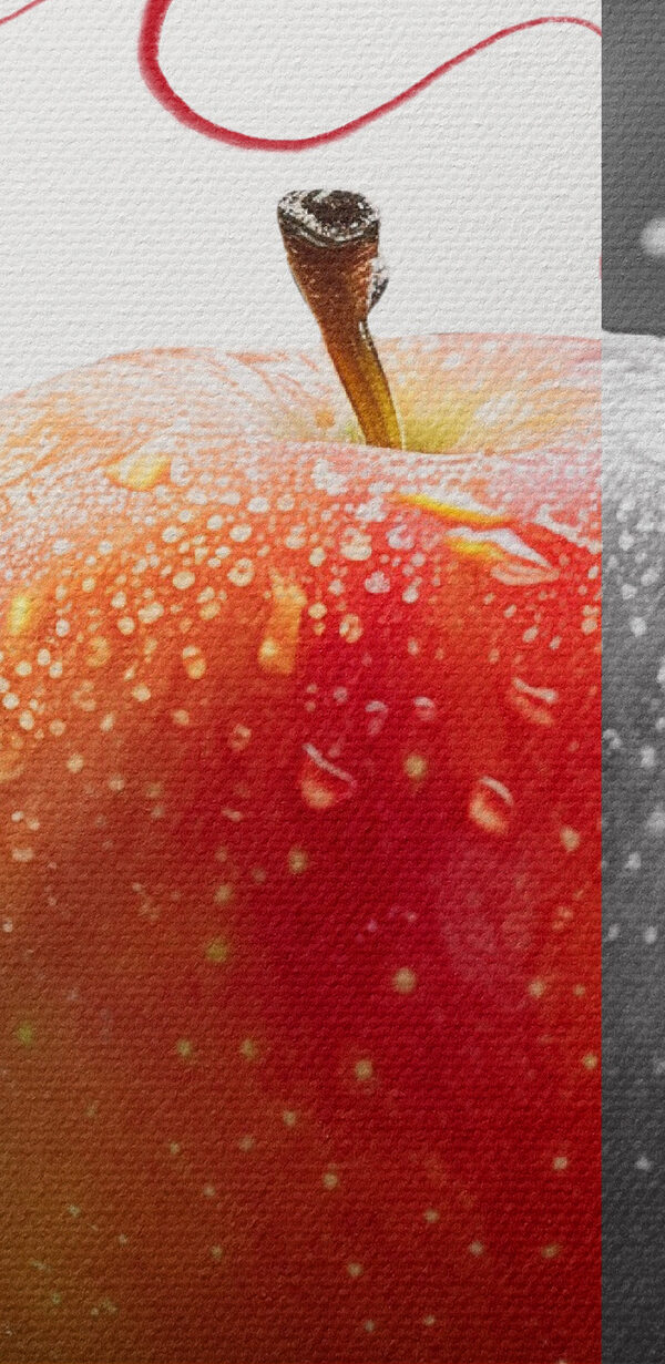 Pomme rouge et grise Pomme rouge et grise