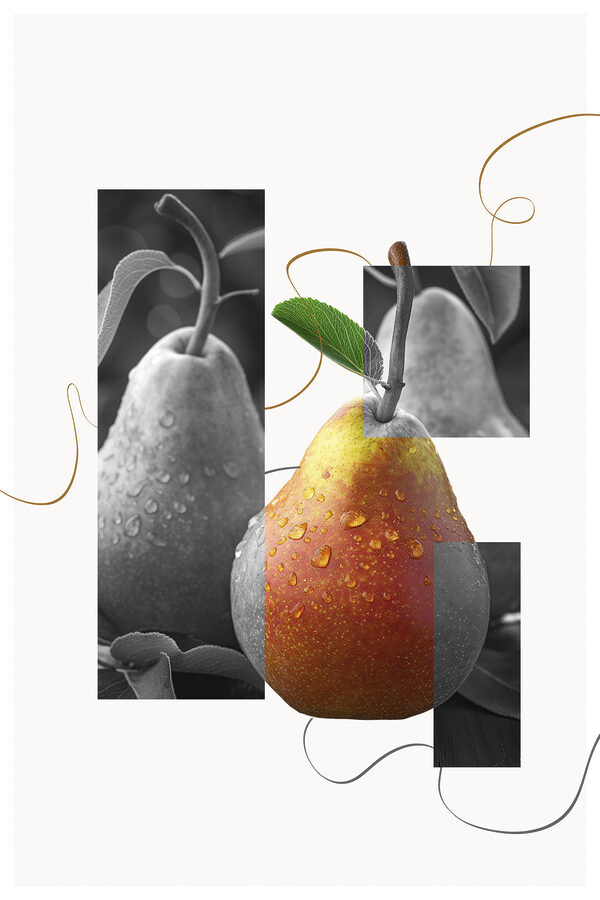 Poire avec gouttes d'eau Poire avec gouttes d'eau