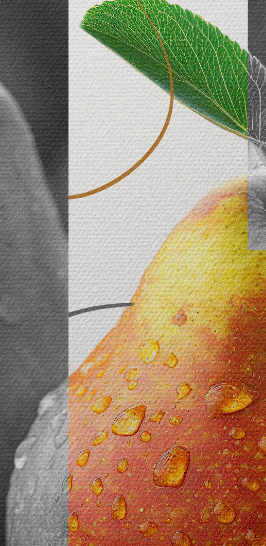 Poire avec gouttes d'eau