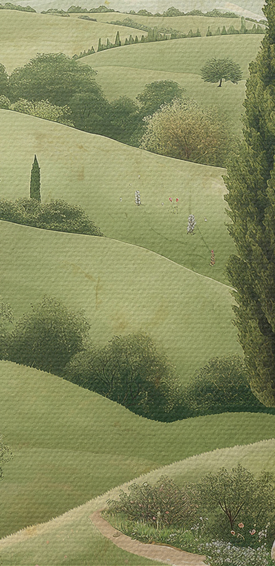 Paysage avec des arbres et une route