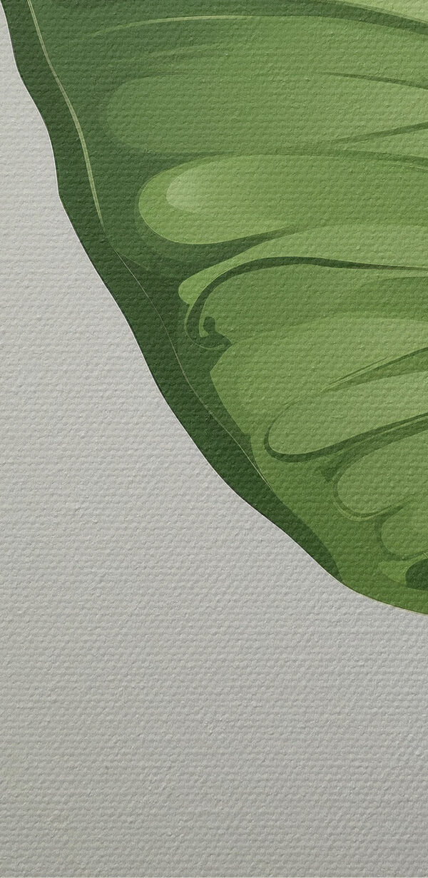 Papillon vert avec ailes Papillon vert avec ailes