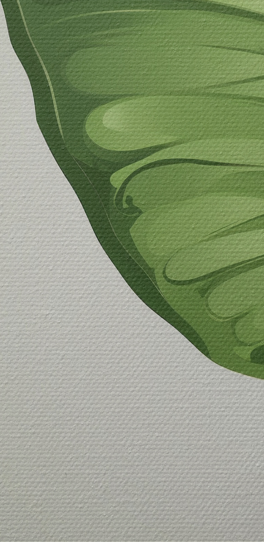 Papillon vert avec ailes