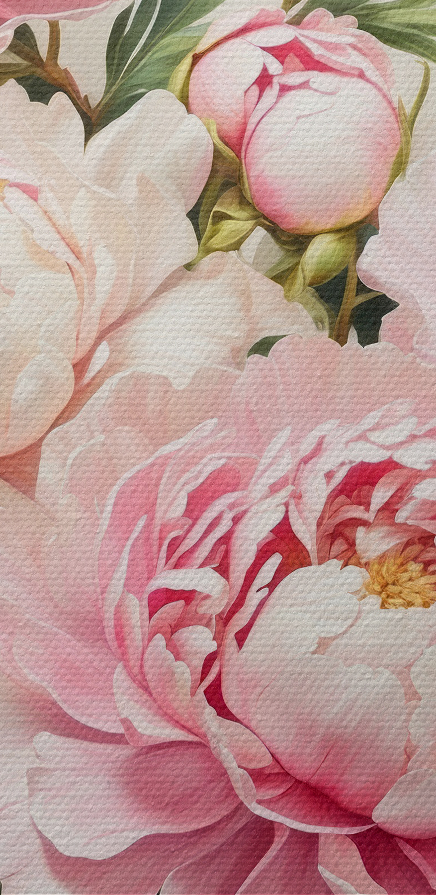 Groupe de fleurs roses