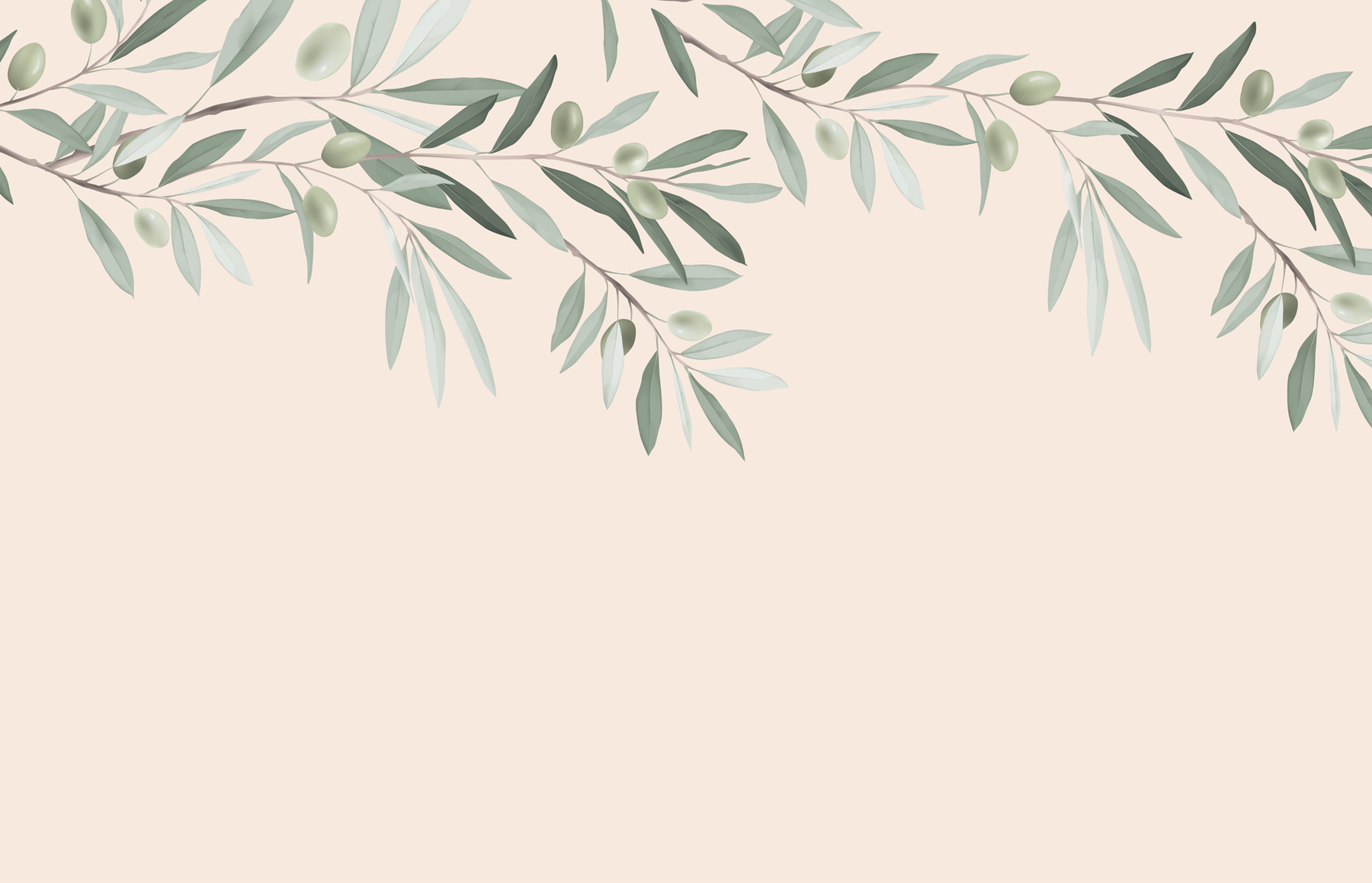 Branch with leaves and olives