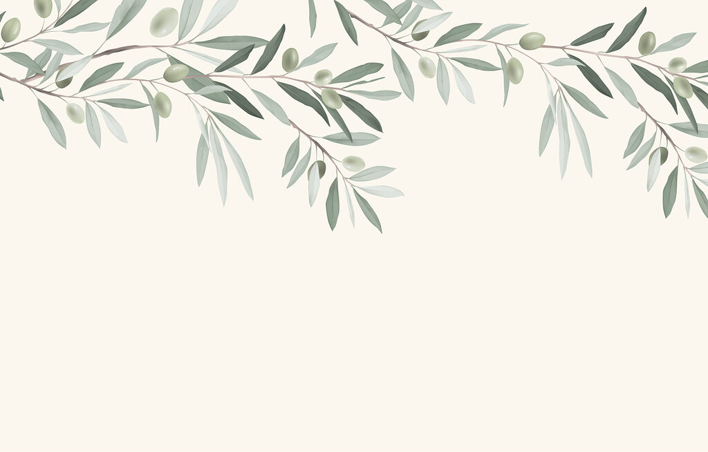 Branche avec feuilles et olives Branche avec feuilles et olives