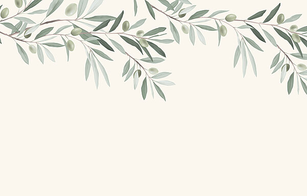 Branche avec feuilles et olives Branche avec feuilles et olives