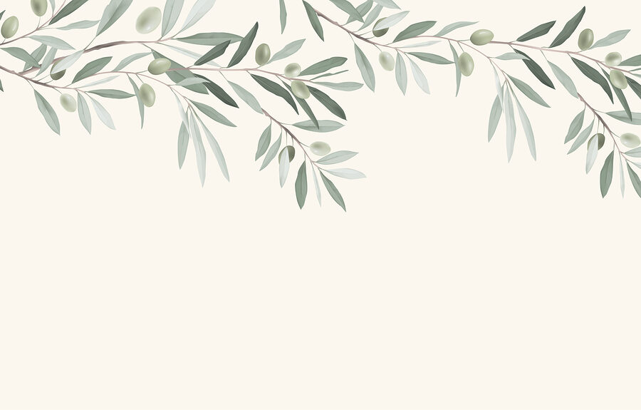 Branche avec feuilles et olives Branche avec feuilles et olives
