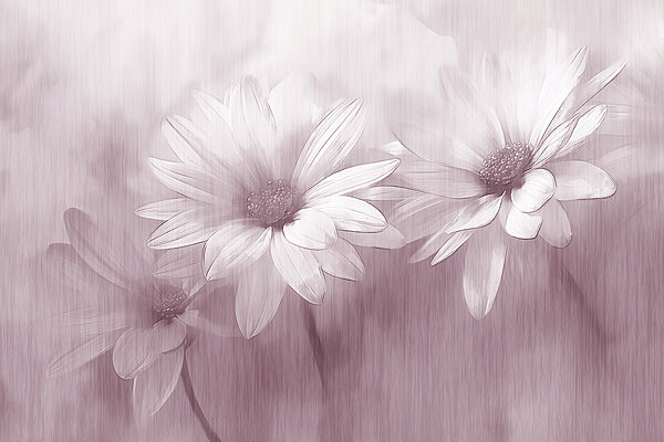 Gros plan sur des fleurs Gros plan sur des fleurs