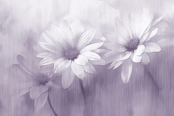 Gros plan sur des fleurs Gros plan sur des fleurs
