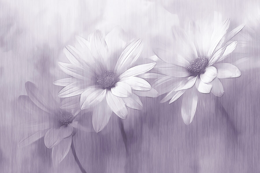 Gros plan sur des fleurs