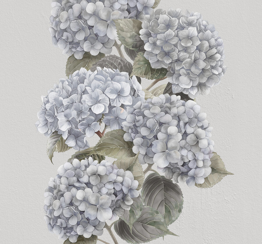 Gros plan sur une fleur