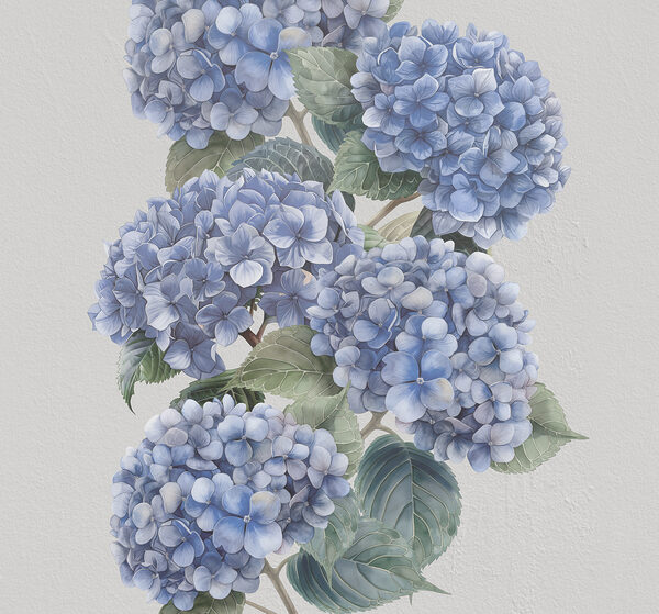 Gros plan sur des fleurs Gros plan sur des fleurs