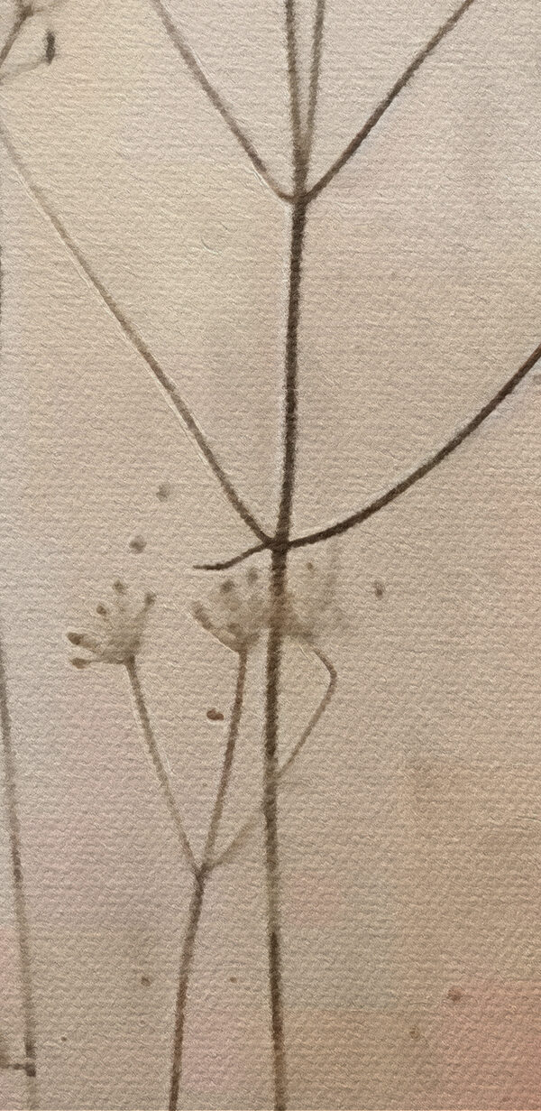 Plante avec des fleurs Plante avec des fleurs