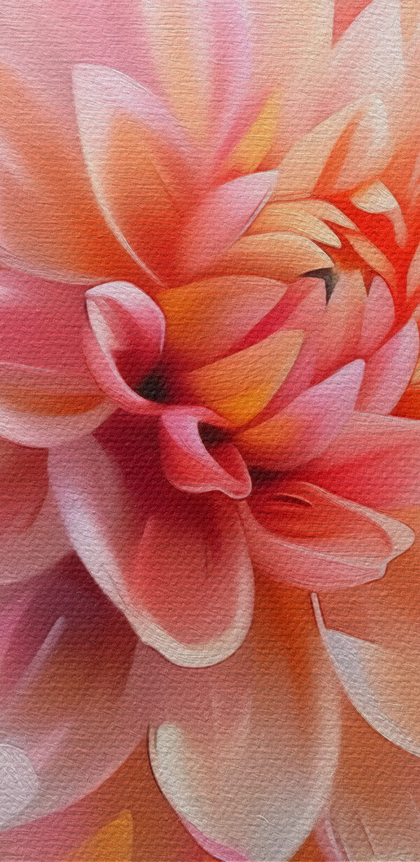 Gros plan sur une fleur Gros plan sur une fleur
