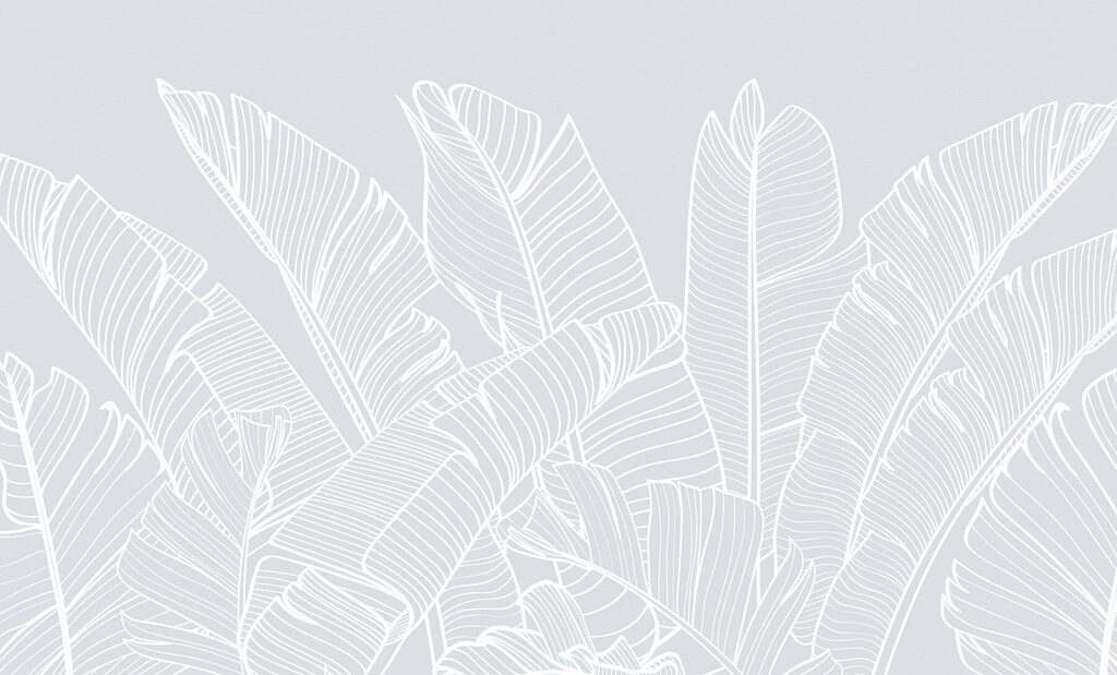 Dessin au trait blanc de feuilles Dessin au trait blanc de feuilles