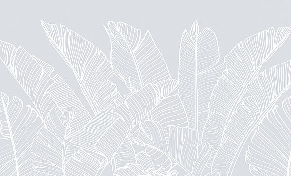 Dessin au trait blanc de feuilles Dessin au trait blanc de feuilles