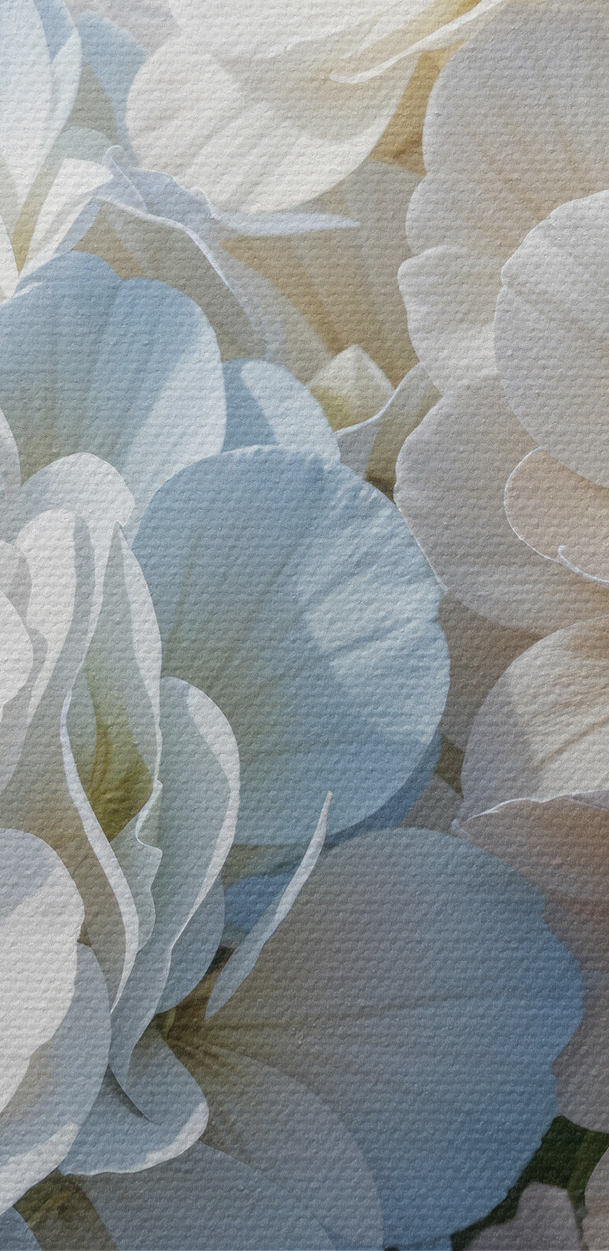 Groupe de fleurs blanches et bleues