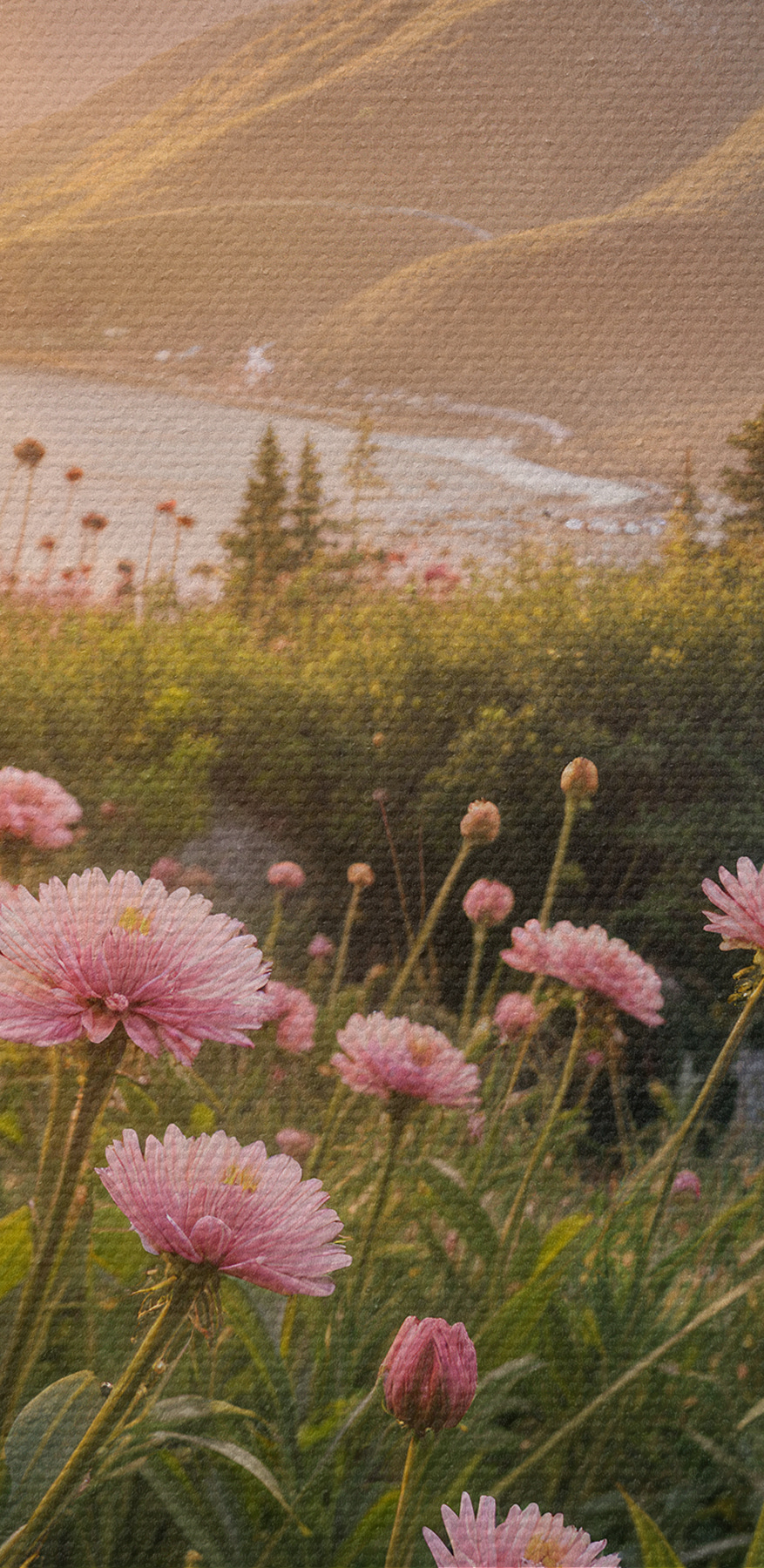 Champ de fleurs roses avec un arbre et des montagnes en arrière-plan