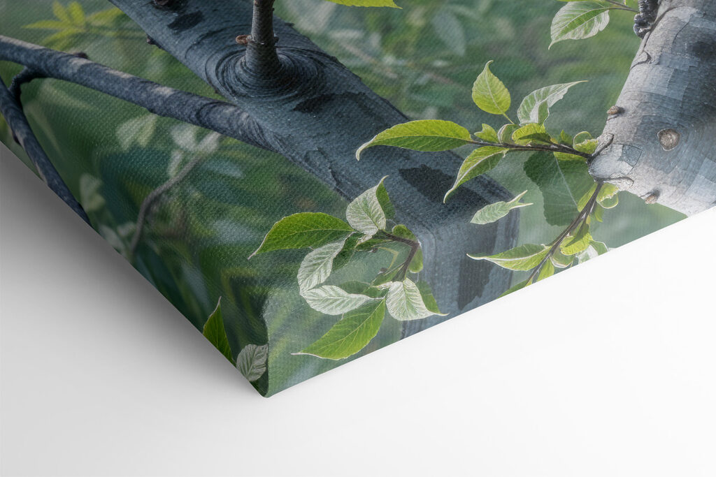 Two birds on a tree branch