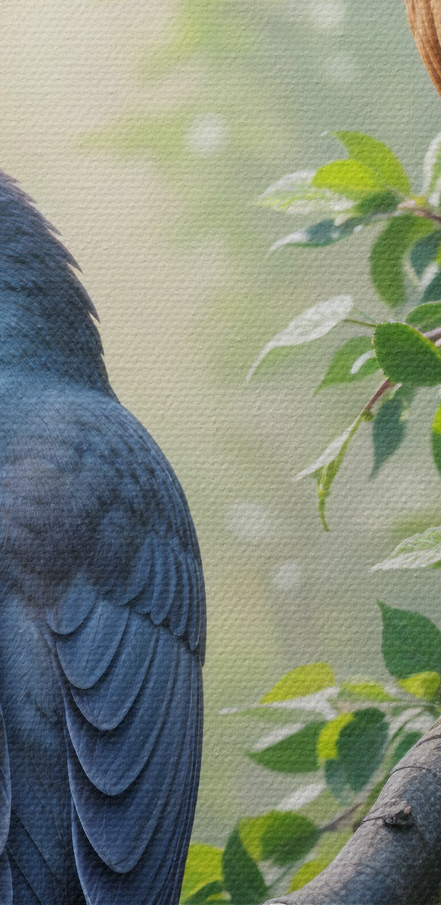 Deux oiseaux sur une branche d'arbre