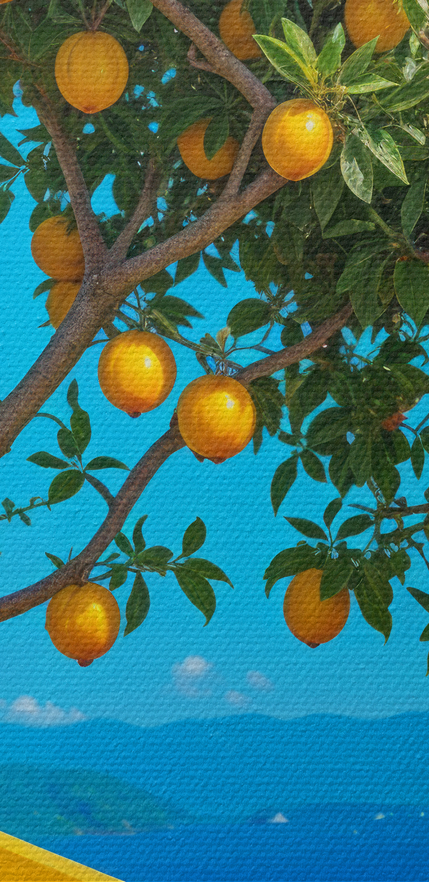 Tree with fruit on it Tree with fruit on it