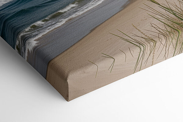 Beach with tall grass and water Beach with tall grass and water