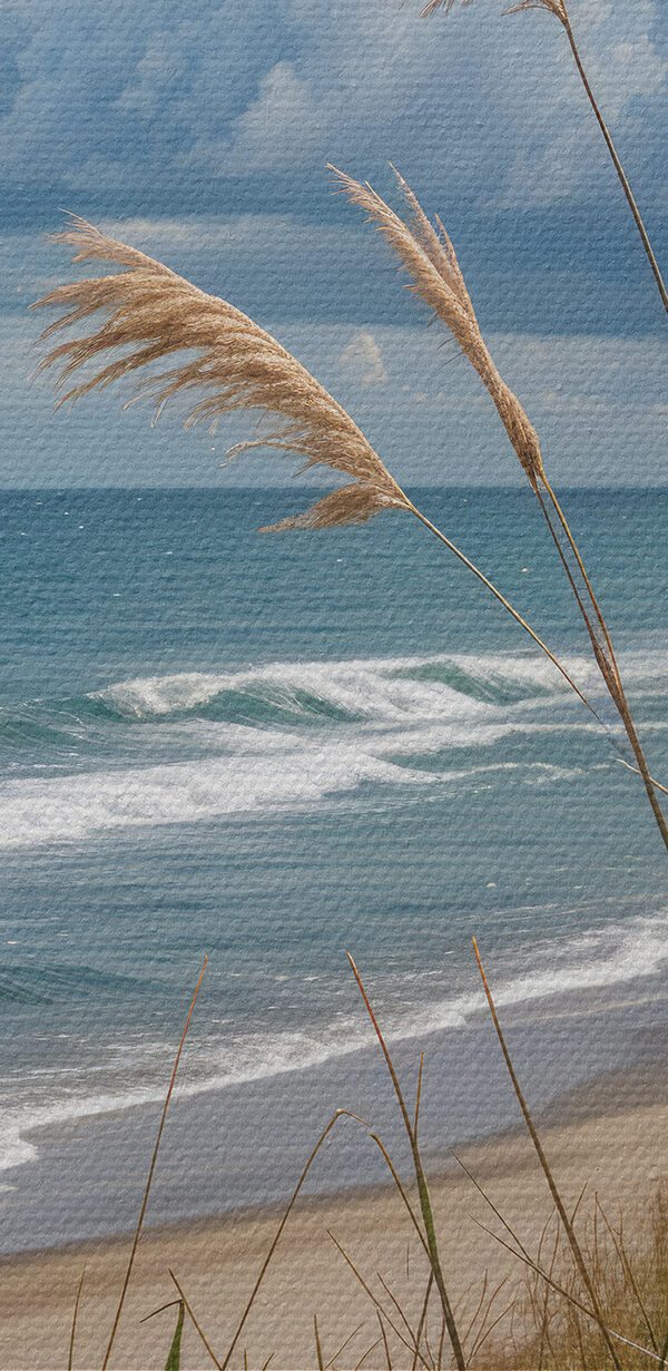 Beach with tall grass and water Beach with tall grass and water