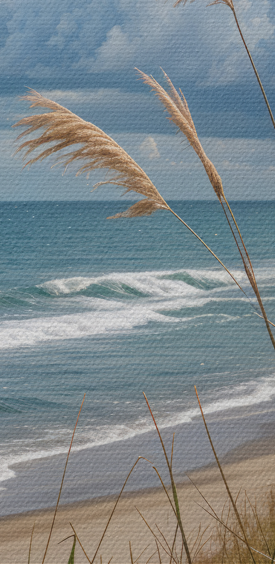 Beach with tall grass and water Beach with tall grass and water