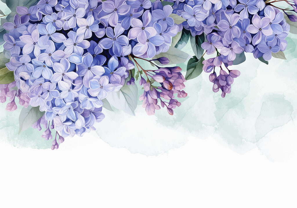 Bunch of purple flowers