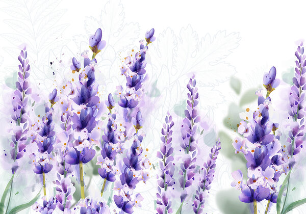 Groupe de fleurs violettes Groupe de fleurs violettes
