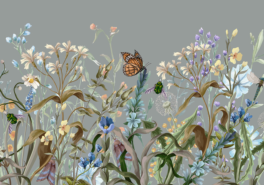 Papillon sur une fleur
