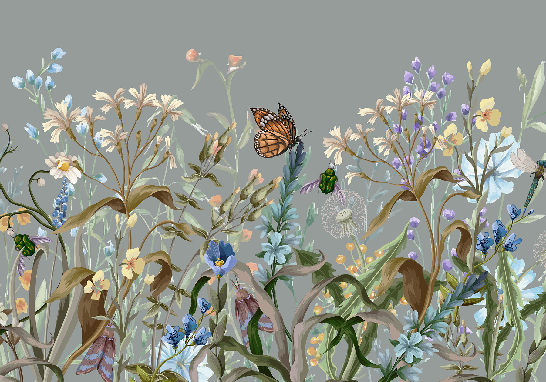 Butterfly on a flower Butterfly on a flower
