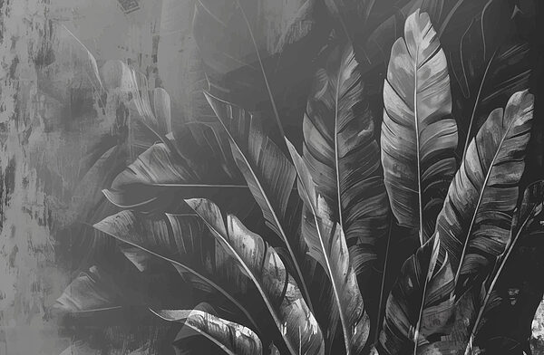 Close up of leaves Close up of leaves