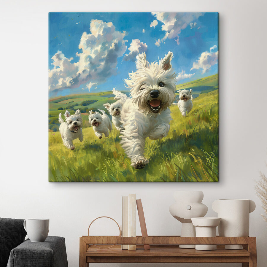 Groupe de chiens blancs courant dans un champ