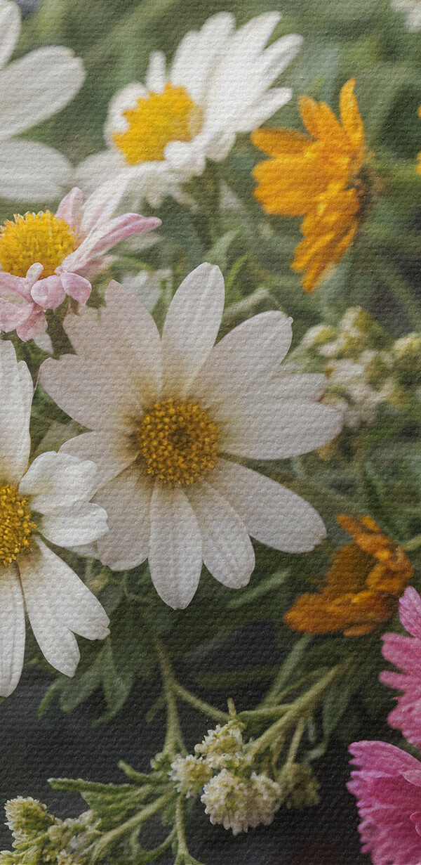 Groupe de fleurs colorées Groupe de fleurs colorées