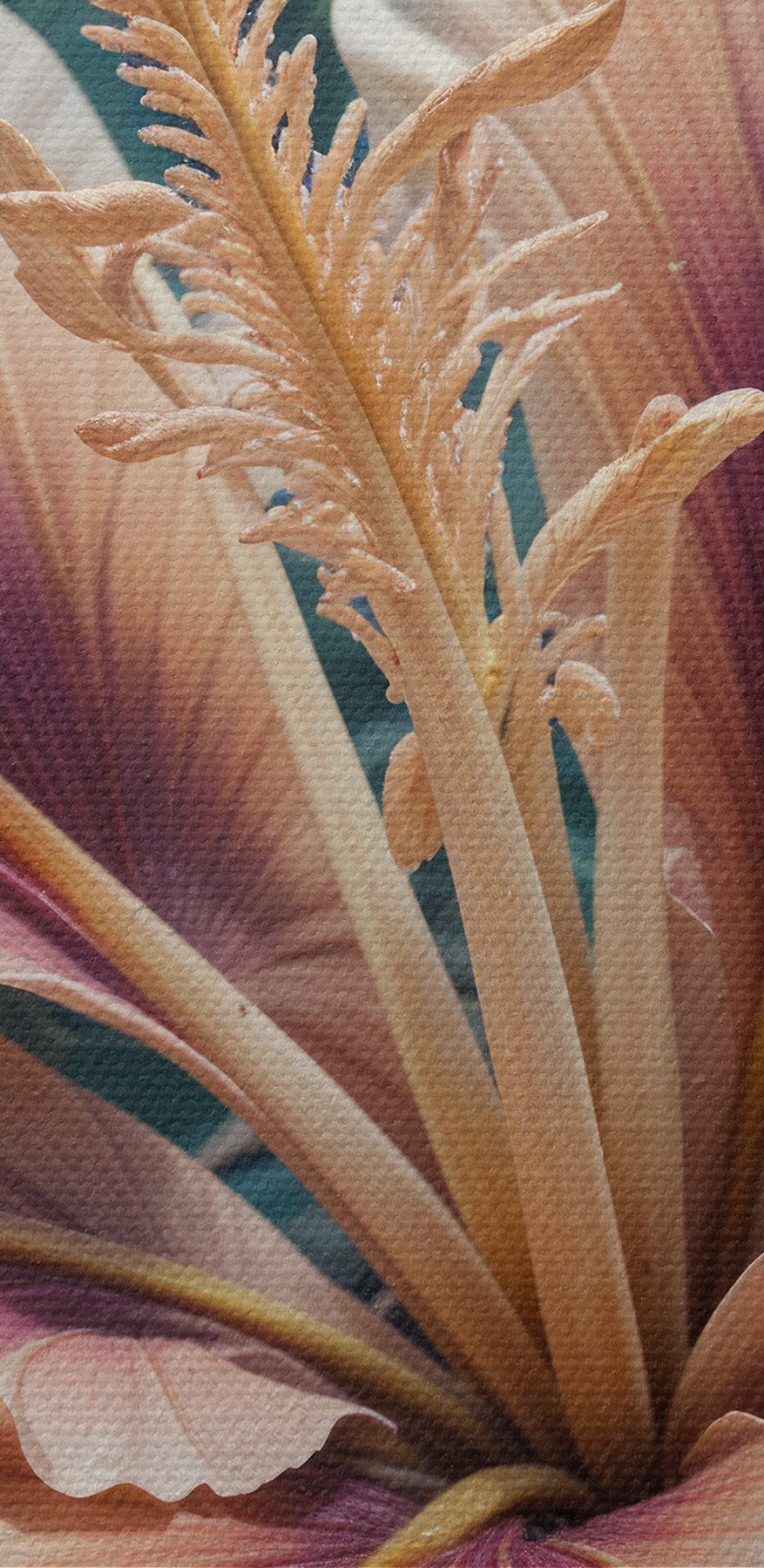Gros plan sur une fleur Gros plan sur une fleur