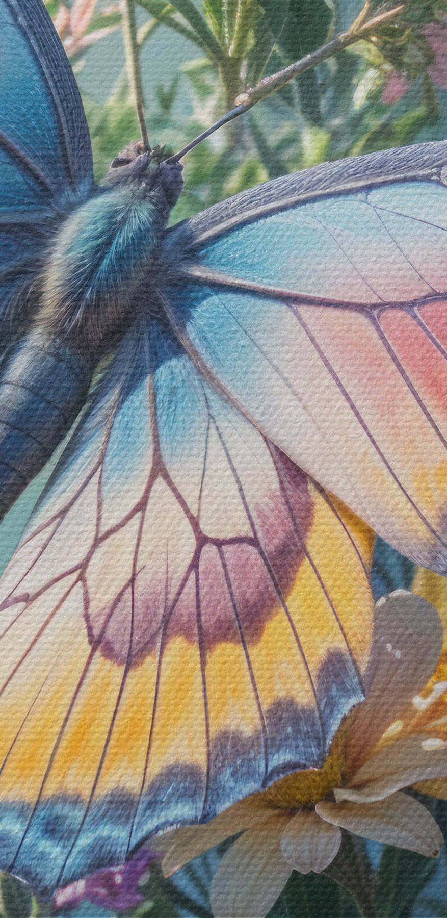 Papillon sur une fleur