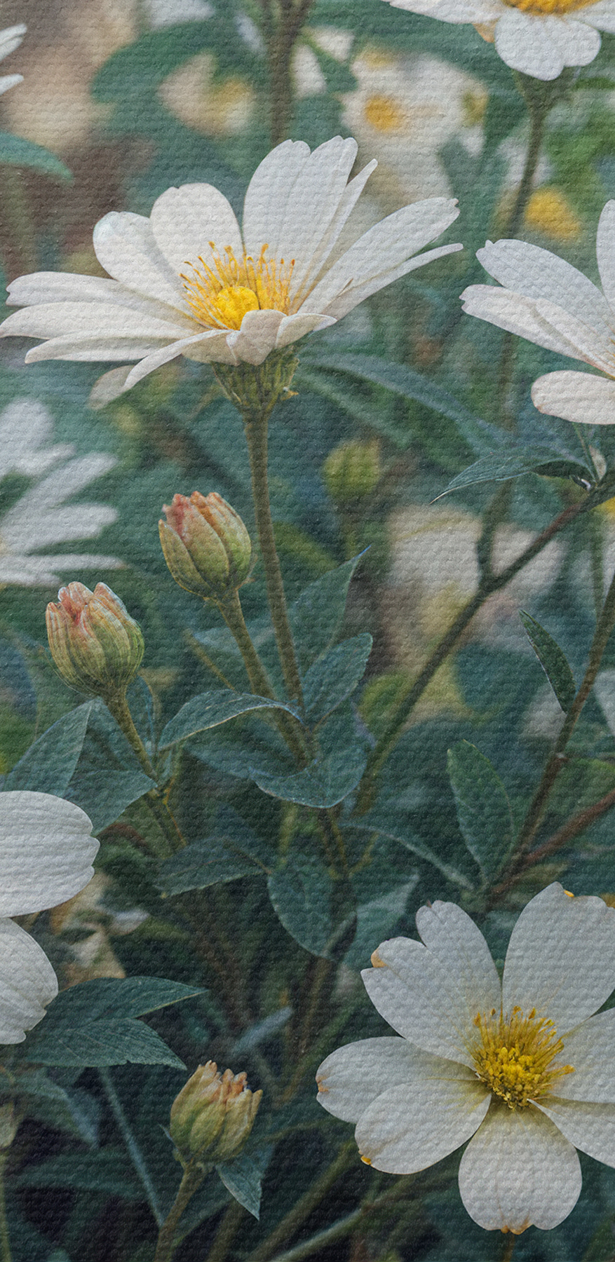 Groupe de fleurs blanches