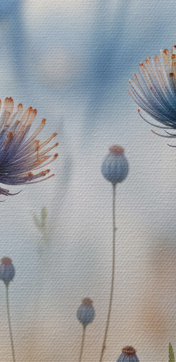 Gros plan sur des fleurs Gros plan sur des fleurs